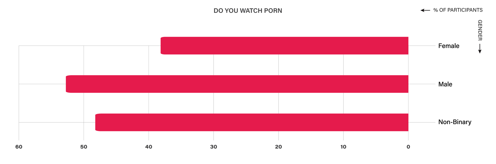 Do you watch porn?