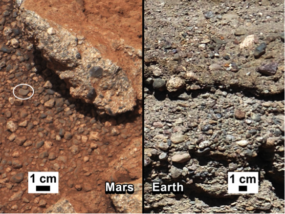 Left: Rock outcrop on Mars showing the characteristics of a sedimentary conglomerate. Right: A typical conglomerate on Earth