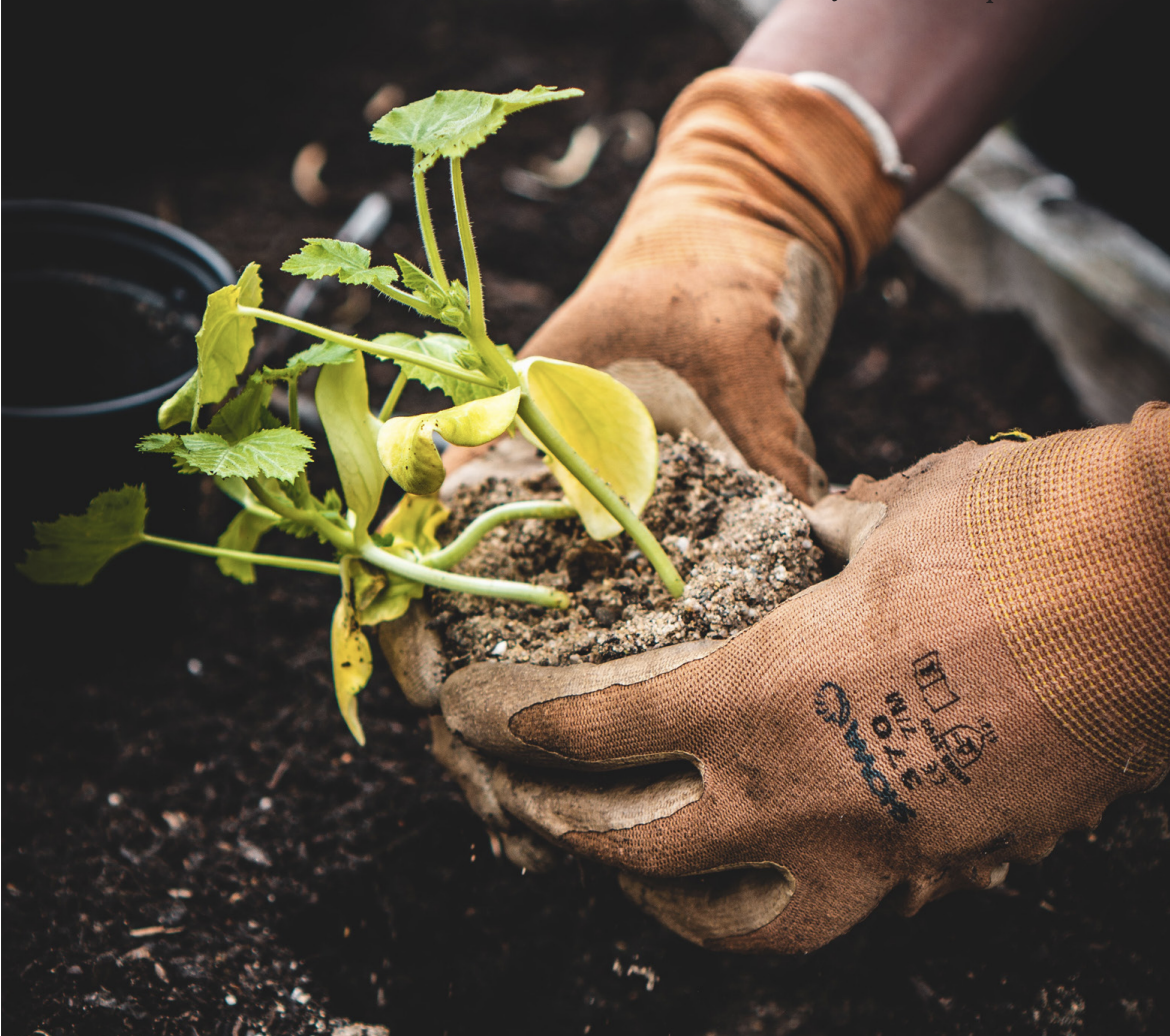 How do nature-based solutions contribute to the sustainability puzzle?