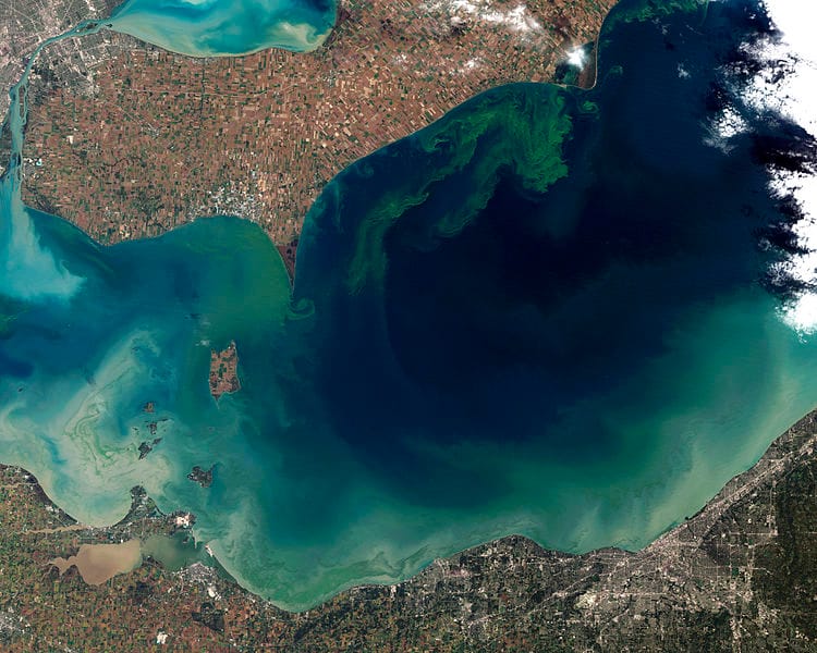 Could AI help rescue coastal dead zones