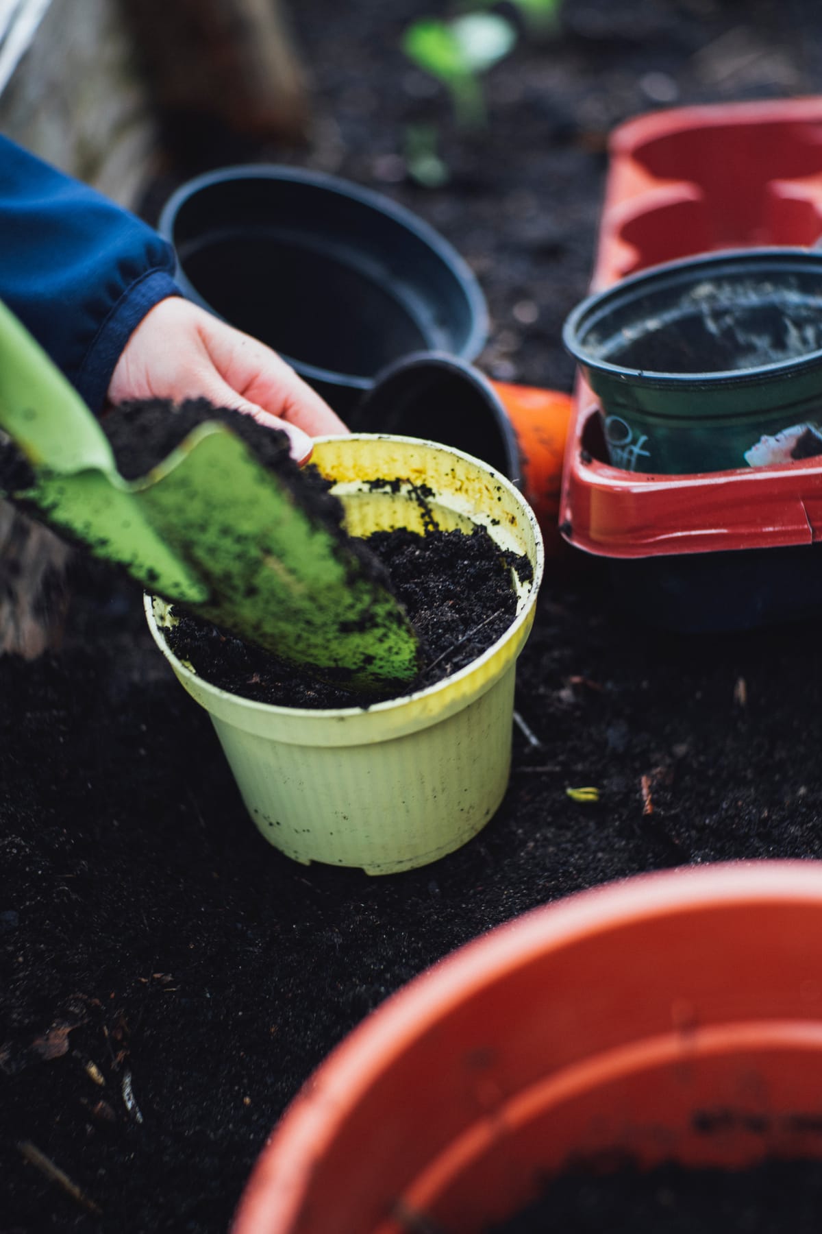 Gardening for resilience