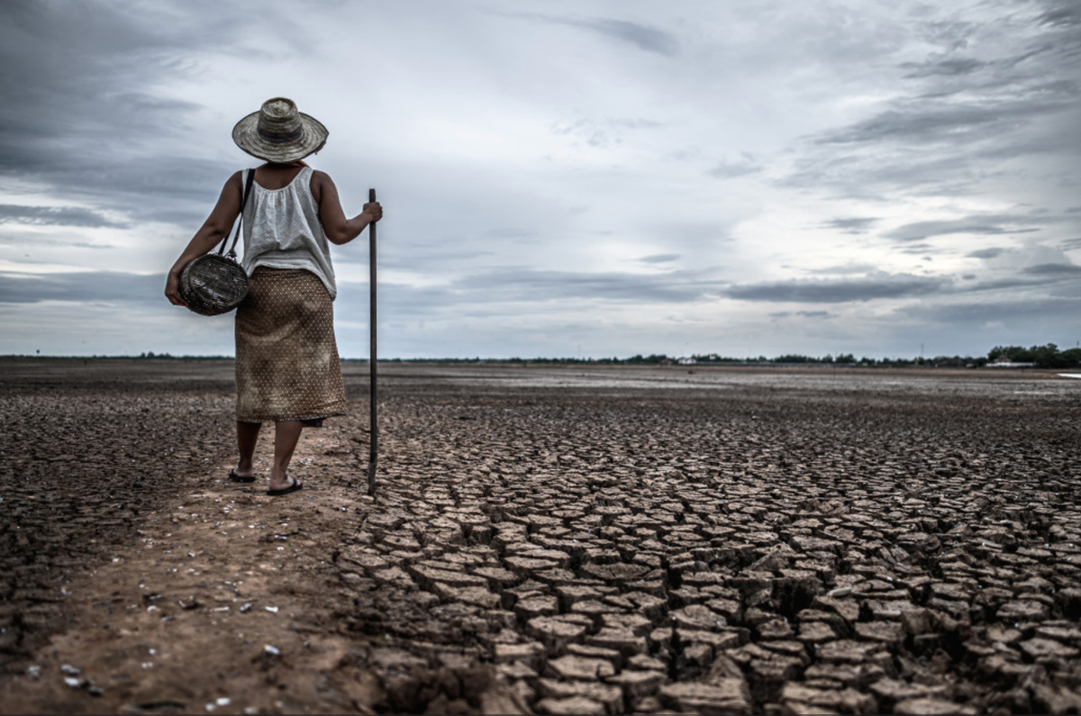 Climate change has reached the West