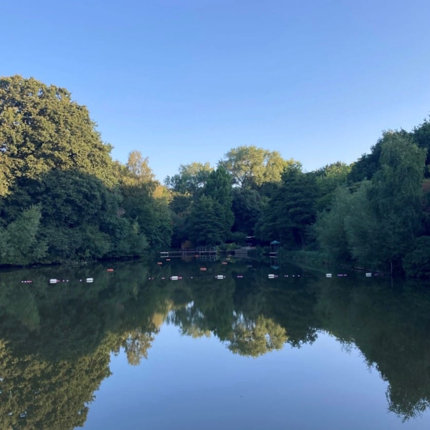 Cold-water swimming at Hampstead Heath Ponds and Lido