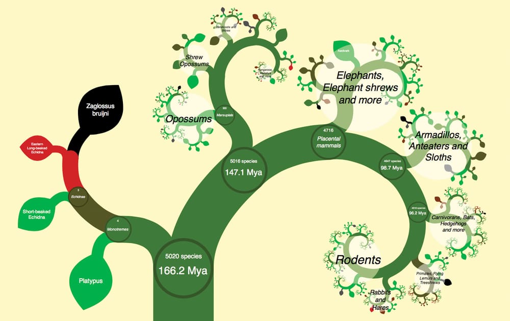 The Biodiversity Crisis
