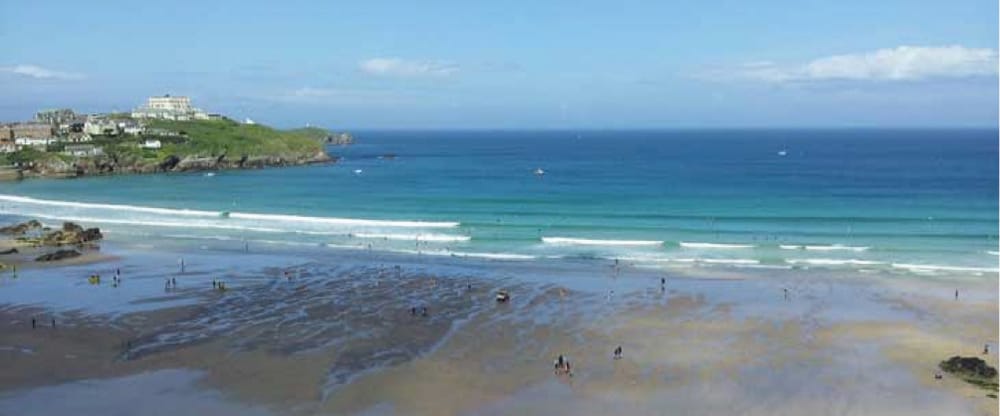 Surfing with the penguins
