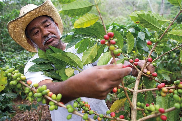 Farming for the future
