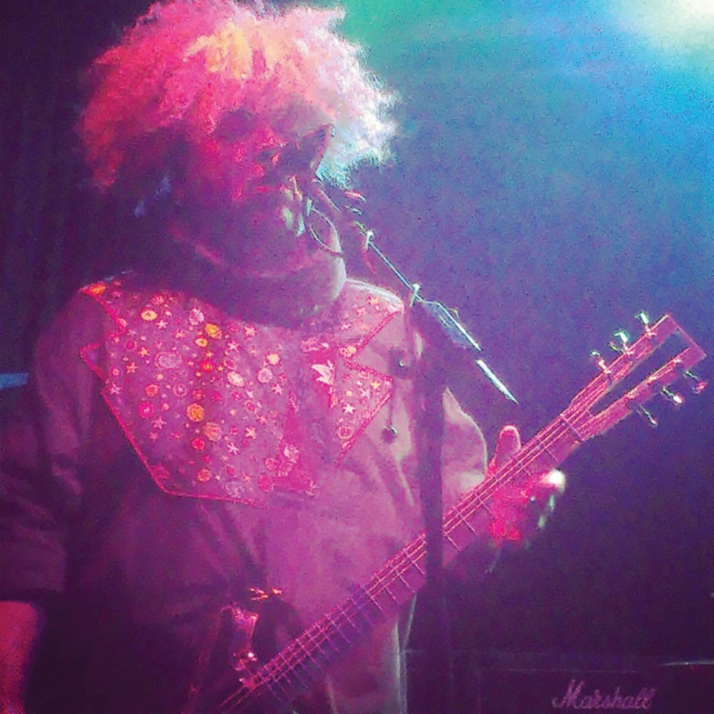 Melvins: Live Review
