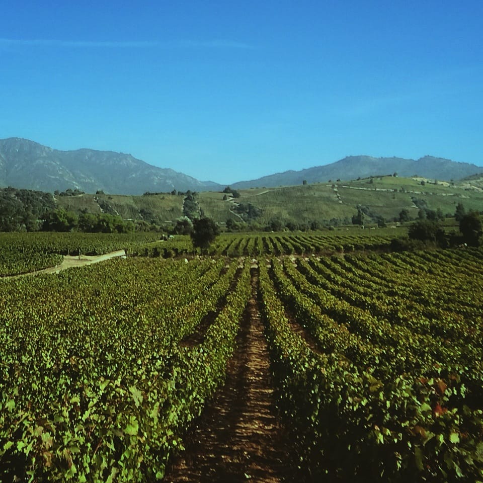 Cruising through Colchagua (Valley)