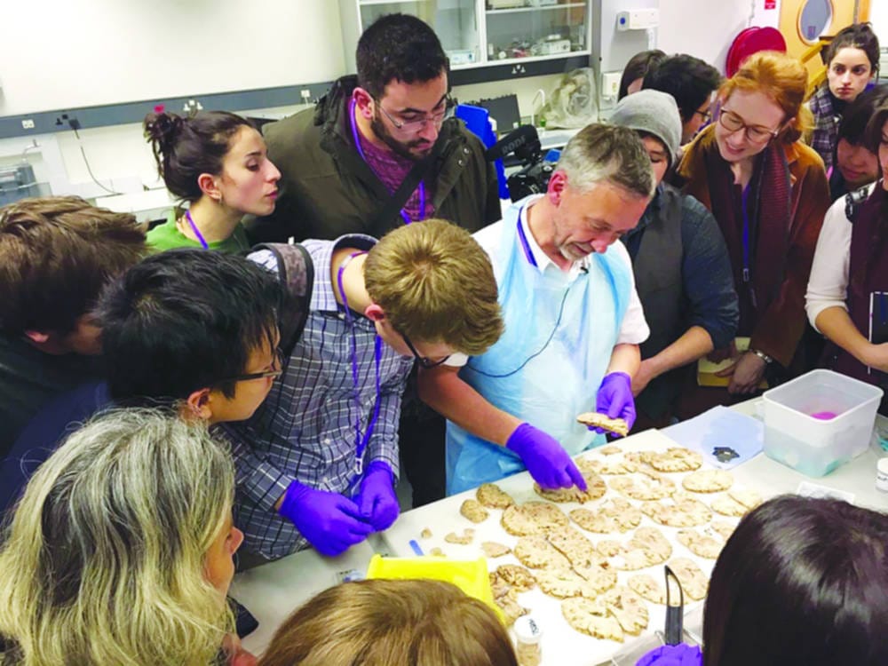 London Students’ Neuroscience Network