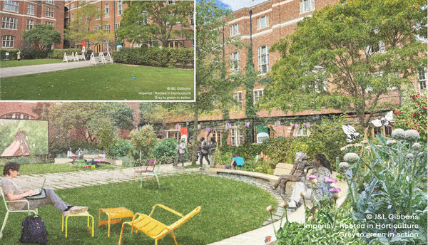 New campaign builds community at Imperial through green spaces