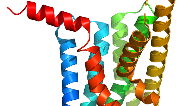 Ozempic: more than a weight-loss drug