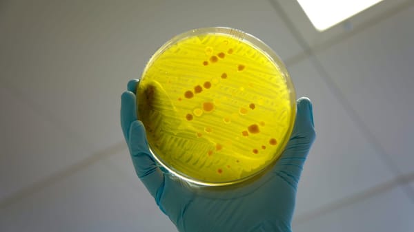 Microbiology Society Conference: Driving Innovation Against Antimicrobial Resistance