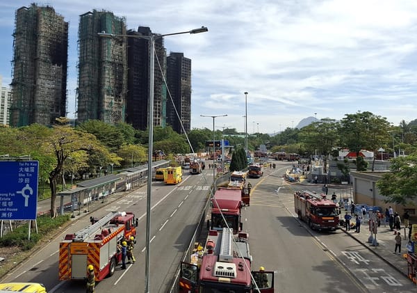 In defence of bamboo