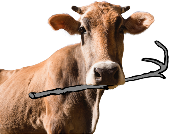 Cow Tools