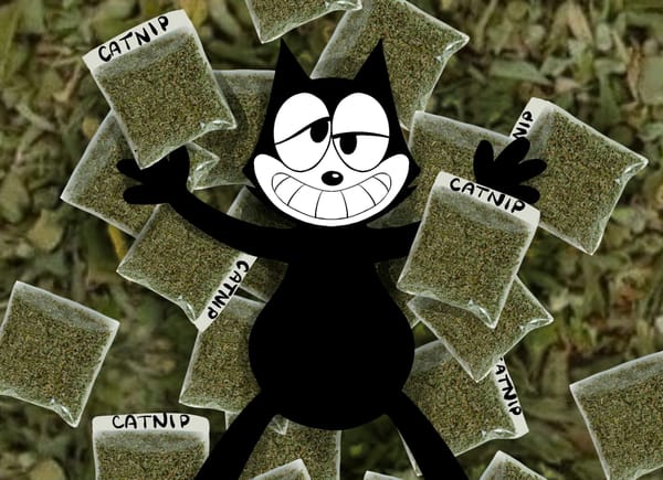 Presenting: the 2026 Felix Drug Survey