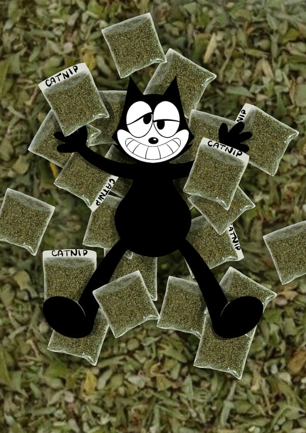 Presenting: the Felix Drug Survey 2026