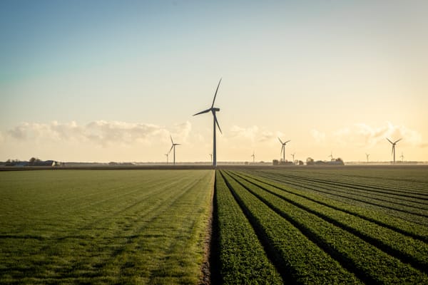 Photo of windmills