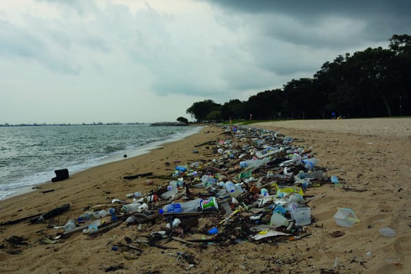 Connect with conservation: oceanic ghostbusters
