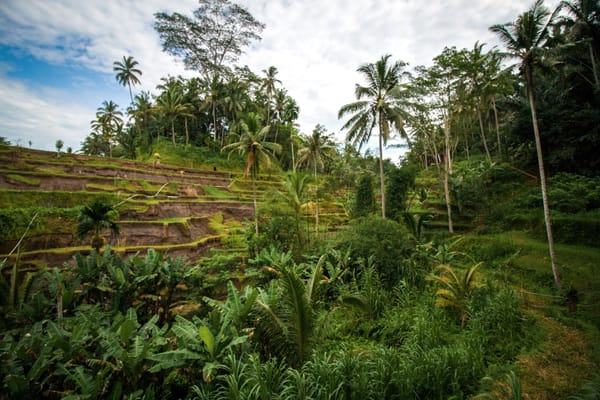 Remodelling Conservation