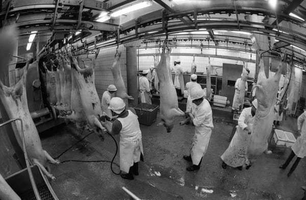 The cost of wasting meat