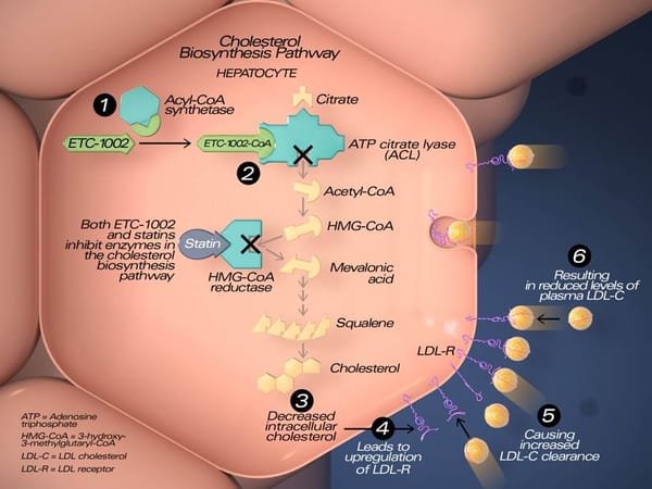 New cholesterol-lowering drug could help patients unable to take statins