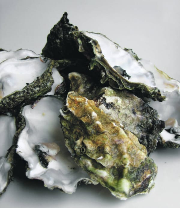 How not to shell out for the ultimate luxury, oysters
