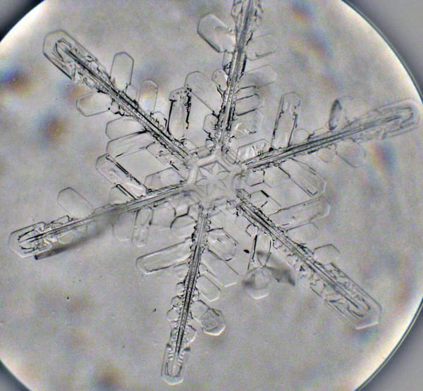 Let it snow, let it snow...
