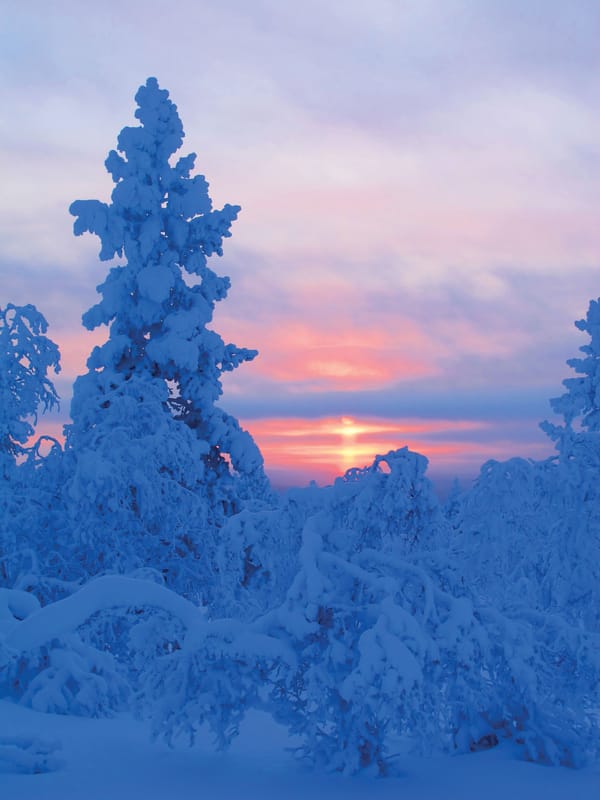 Things to do in Saariselkä
