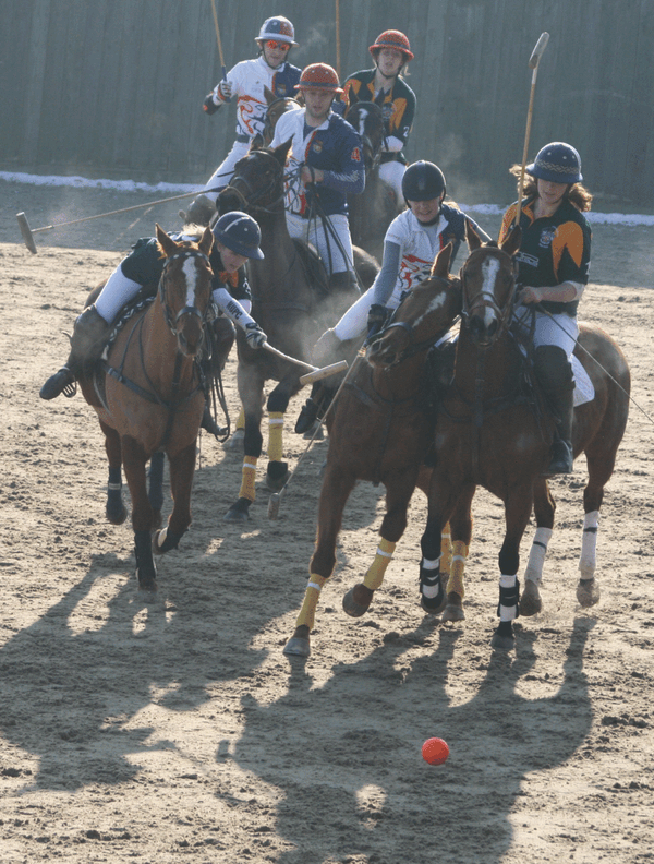 Ponies, snow and a broken jaw at polo nationals