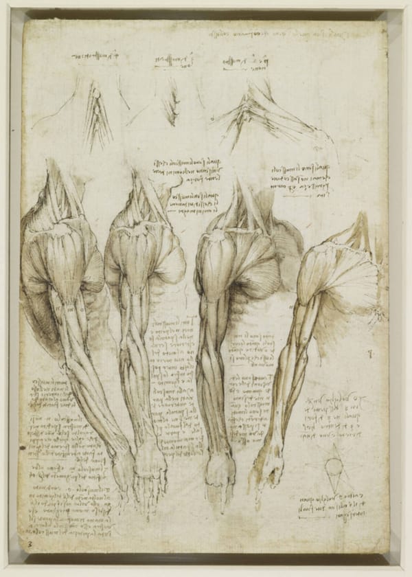 Exquisite corpses

