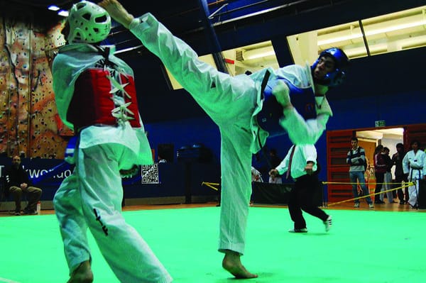 TaeKwonDo Inauguration Huge Success