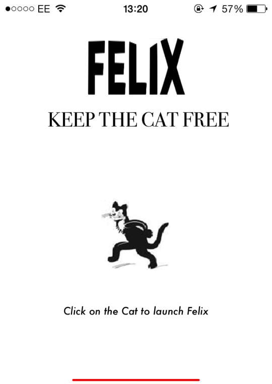 Felix on the move!
