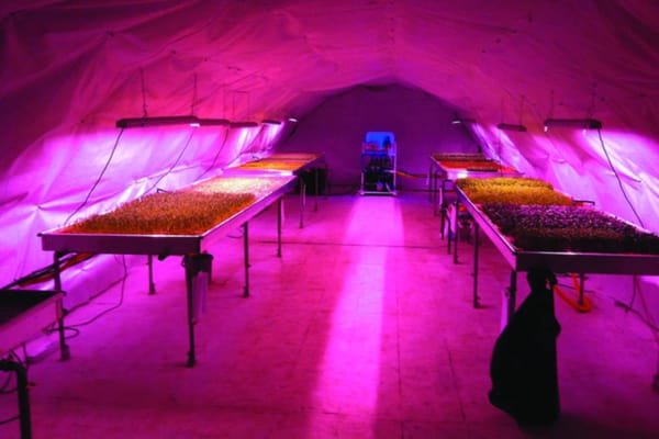 Future of urban agriculture?
