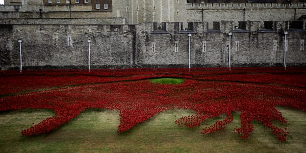 Blood Swept Lands: Why do we remember war?
