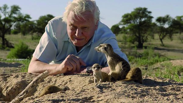 David Attenborough has done it again