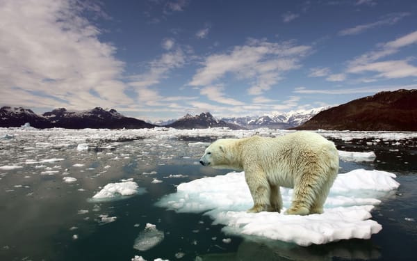 Climate Change is like an unwashed dish. Don’t believe me?