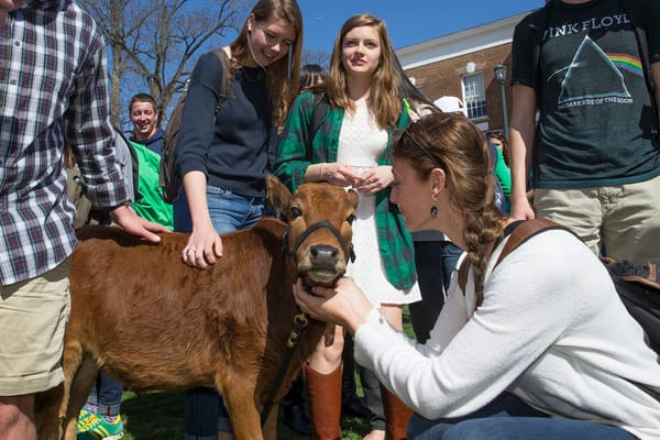 Universities and Student Unions employ peculiar methods to relieve exam stress
