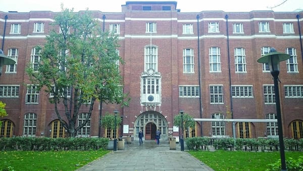 Union replaces tree in Beit Quad
