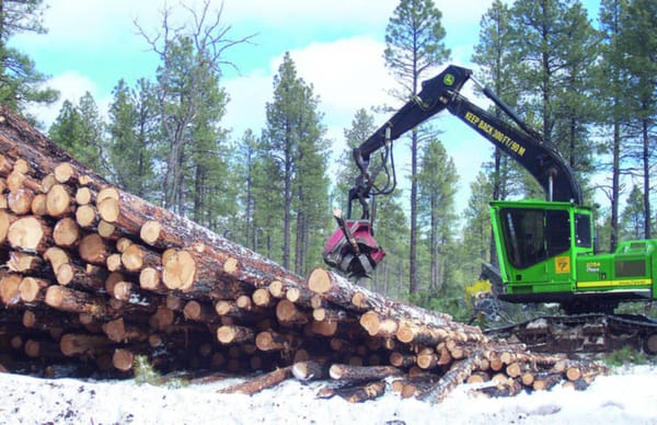 Forests as carbon source, not carbon sink
