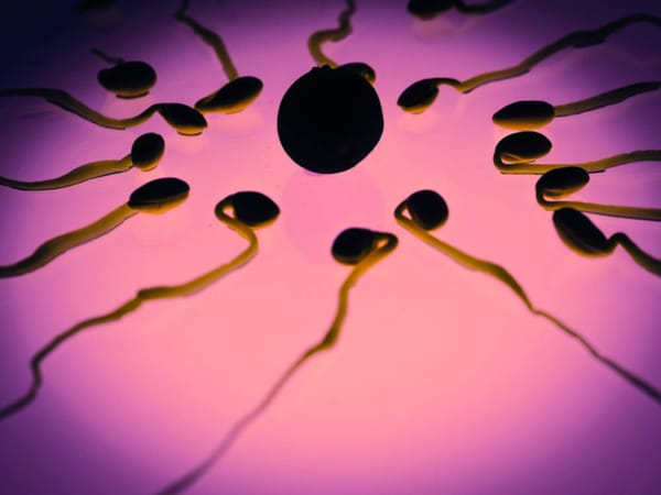 Will sperm ever be stopped?
