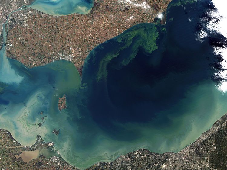 750px Toxic Algae Bloom In Lake Erie