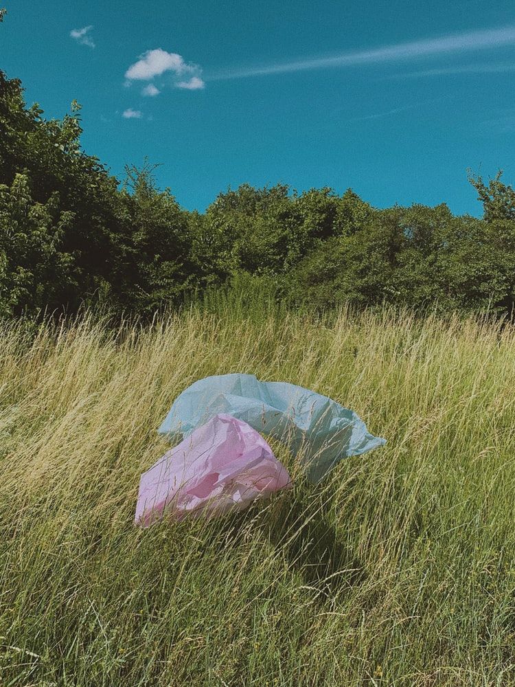 Plastic Bags In Field
