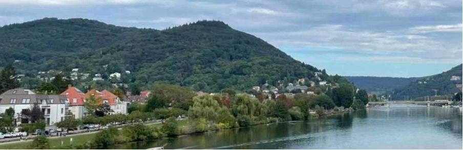 Flx Neckar River